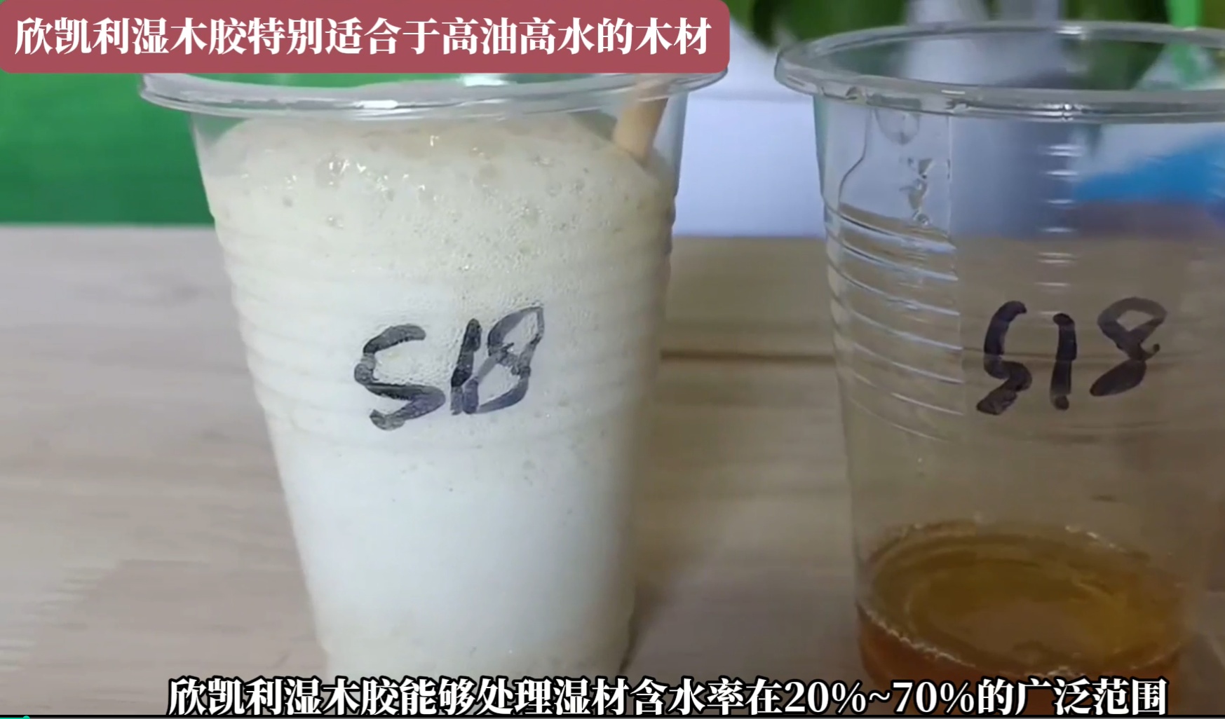 欣凱利濕木膠特別適合于高油高水的木材，快干、快固化