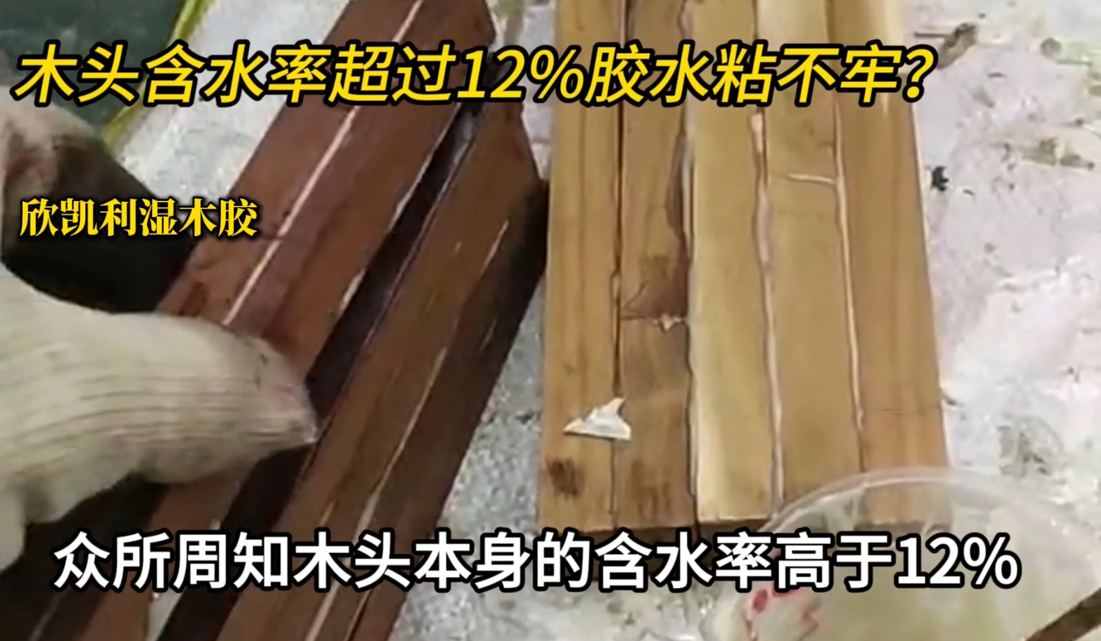 欣凱利濕木膠可用于：橡木、胡桃木、楓木、櫻桃木松木、杉木等木種
